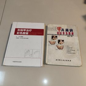 甲真菌病诊治彩色图谱 + 灰指甲治疗彩色图鉴 (一版一印，2册合售)