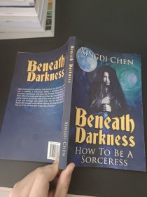 Beneath Darkness（外文书）