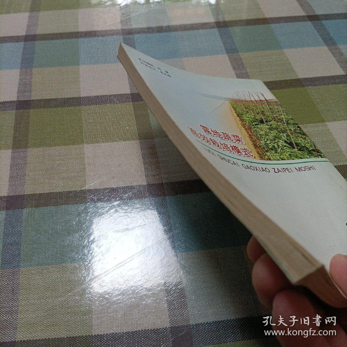 露地蔬菜高效栽培模式
