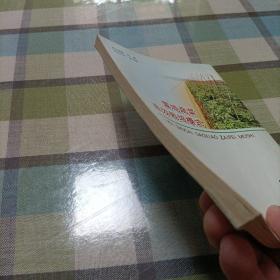 露地蔬菜高效栽培模式