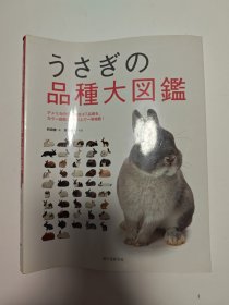兔子的品种大图鉴（16开）日文原版