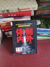 体制内外