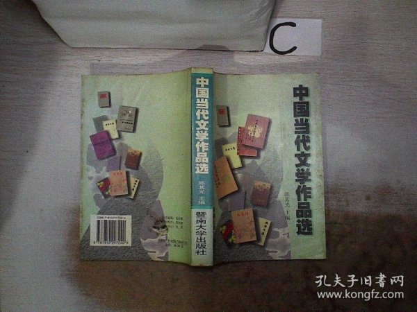 中国当代文学作品选