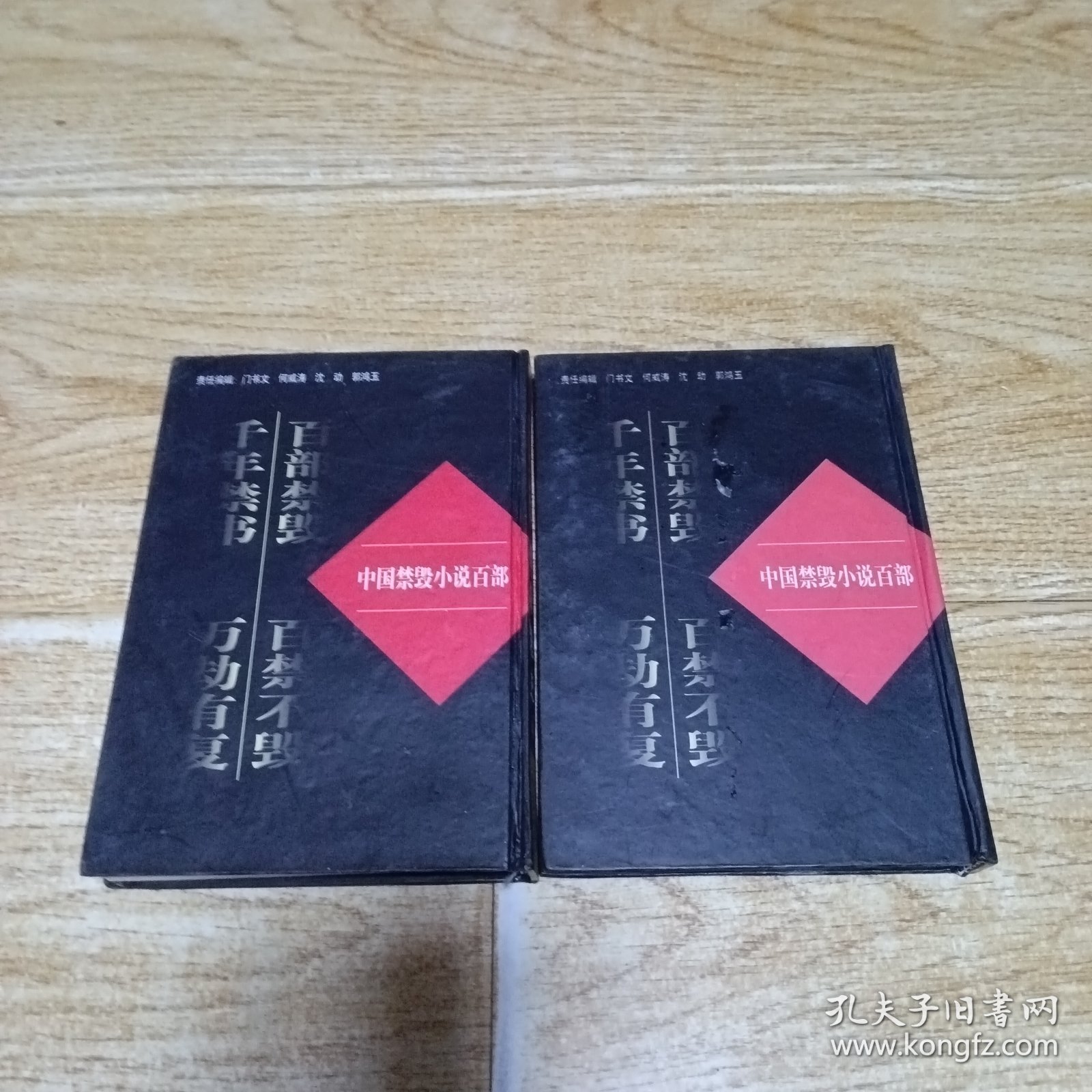 中国禁毁小说百部：禅真逸史（上下）
