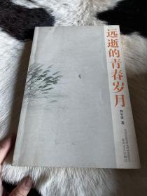 远逝的青春岁月