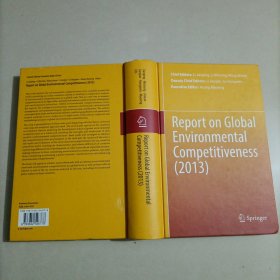 Report on Global Environmental Competitiveness2013 英文版英语读物 英文原版书