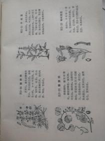 新医药学（上册）