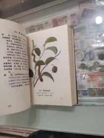 云南中草药选续集，78年好品