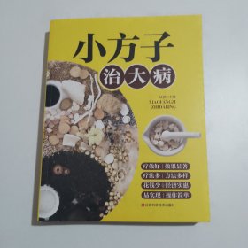 小方子治大病 中医书籍养生偏方大全民间老偏方美容养颜常见病防治 保健食疗偏方秘方大全小偏方老偏方中医健康养生保健疗法