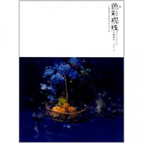 色彩视线主题教学/主题教学视线系列丛书