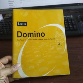 Domino 服务器的安装和配置