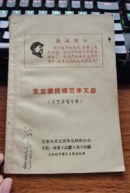 支左爱民模范李文忠（文艺演唱专辑）