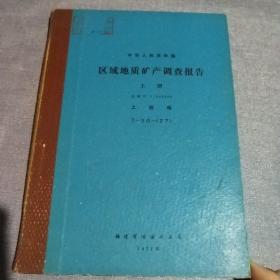 区域地质矿产调查报告  ——上杭幅(上册)