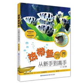 热带鱼饲养  从新手到高手