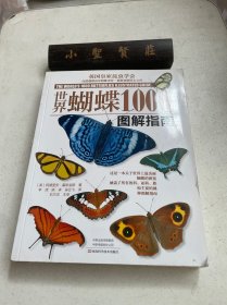 世界蝴蝶1000种图解指南