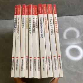 审计查账技巧/审计技巧丛书（11本合售）