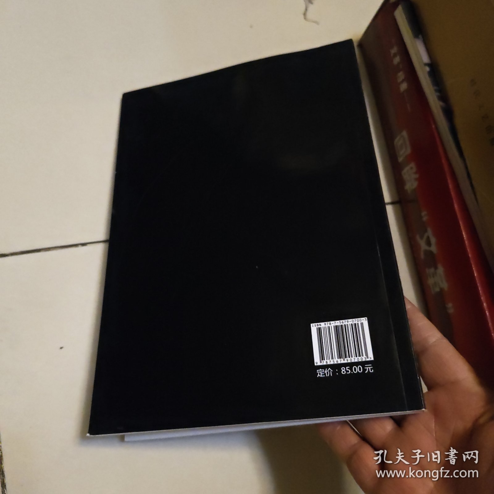 放大胃镜观察技巧（附光盘）