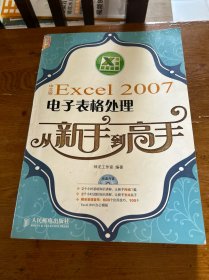 中文版Excel 2007电子表格处理从新手到高手