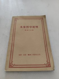 未来哲学原理