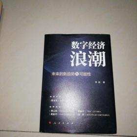 数字经济浪潮——未来的新趋势与可能性【精装大32开】