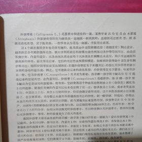 植物学家汤彦承藏书5册《新疆藜科植物检索表》《新疆高等植物生活型分类的研究》《国产木蓼属研究资料》《国产沙拐枣属初步整理》《新疆植物检索表第一册系统名录》