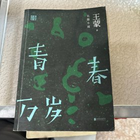 王蒙精选集：青春万岁