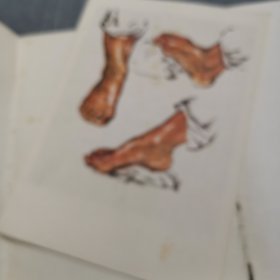 中国画人物技法资料（23张）