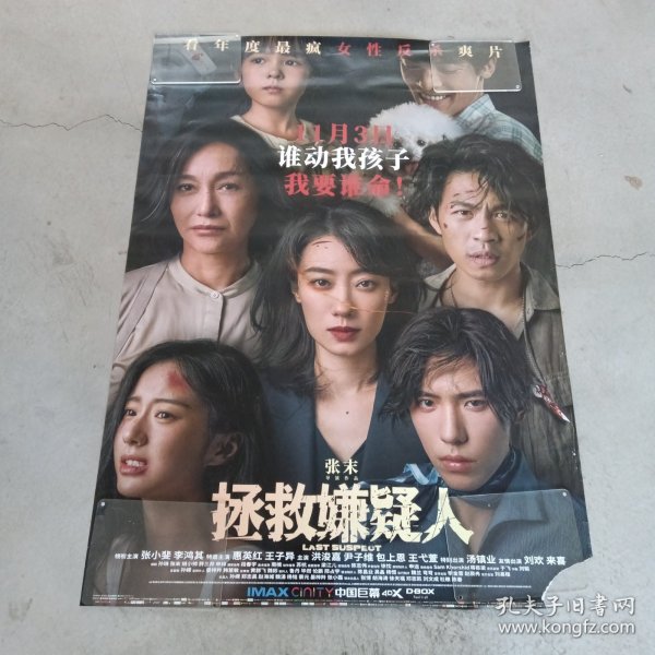 电影海报:拯救嫌疑人；1开，2023年11月，官方原版未张贴海报；主演:张小斐（金鸡奖影后、惠英红（香港影后）、李鸿其、王子异、洪浚嘉、尹子维、汤镇业、王弋萱、包上恩、刘欢、来喜；导演:张末；经典犯罪悬疑片；恐龙影业（武汉）有限公司等出品；尺寸:108*75厘米