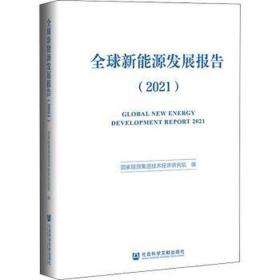 全球新能源发展报告.2021 经济理论、法规 能源集团技术经济研究院编 新华正版