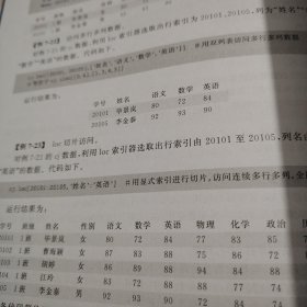 Python程序设计与数据分析项目实战（微课视频版）