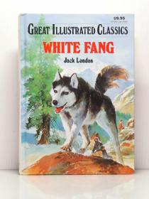 杰克·伦敦  大字插图版《白牙》  White Fang  by Jack London  （美国文学）英文原版书