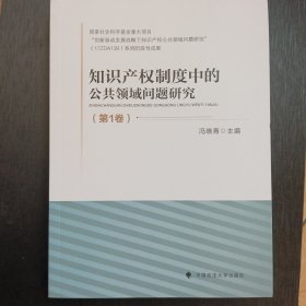 知识产权制度中的公共领域问题研究（第1卷）