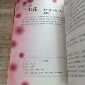 花养女人幸福一生