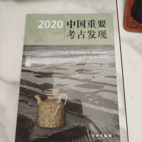 2020中国重要考古发现，未开封