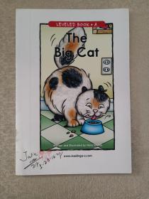 LEVELED  BOOK  •  A   (The big cat)