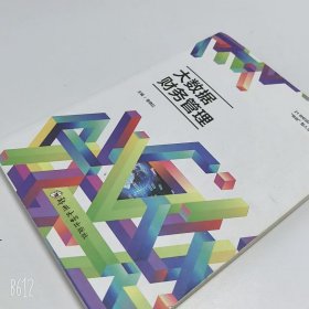 【正版二手】大数据财务管理袁晓红9787564589882郑州大学出版社