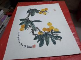 著名广东--佛山籍--画家【 黄康新 】国画--扇面一幅--枇杷--规格为32CM×24CM