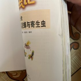 昆虫记·好吃懒做的大佬：大头泥蜂与寄生虫