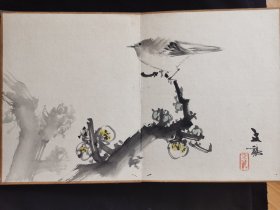 不识款的精品册页两本，书法画工一流