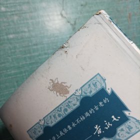 无愁河的浪荡汉子·朱雀城(全三册)