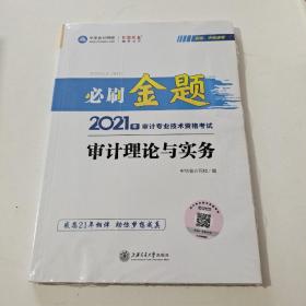 2021年审计专业技术资格考试  审计理论与实物