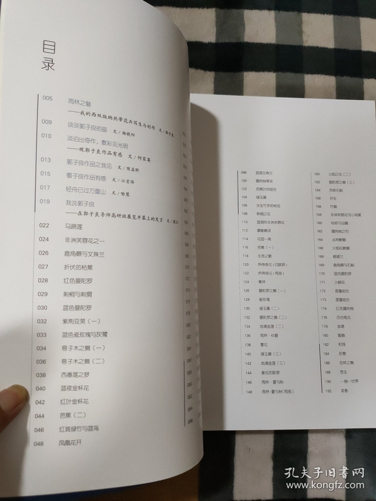 雨林之魅:郭子良重彩花鸟画集