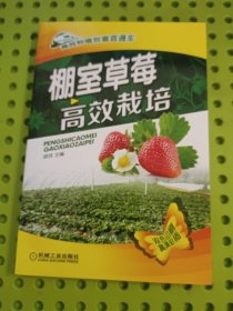 棚室草莓高效栽培