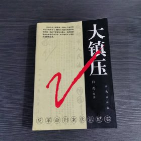 大镇压:反革命归案伏法纪实