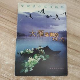 毕淑敏作品自选集：大雁落脚的地方