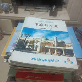 中国穆斯林，93年，2，3。94年1一6。95年。2，4。96年。1，3，4，5。97年，1，2，4，5，6。98年，4，5，6，99年，5，2000年，1，3，6。2001年，2。3。5。6。2002年，1，2，3。4。5。6。(36册合售)