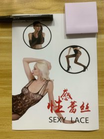 性感蕾丝SEXY LACE 经典时尚服饰丝袜 折子图册 紧身丝袜 连裤袜 精美图册 镂空丝袜 性感丝袜 波点丝袜 网袜 小腿袜 短袜 中筒袜 大腿长筒袜 镂空蕾丝袜 蕾丝线条袜 船袜 堆堆袜 蕾丝手套 服饰配饰 精美款式 精美集成册 是爱好者欣赏收藏极品 稀少品 限量发行 仅一枚 尺寸：28.5*21cm