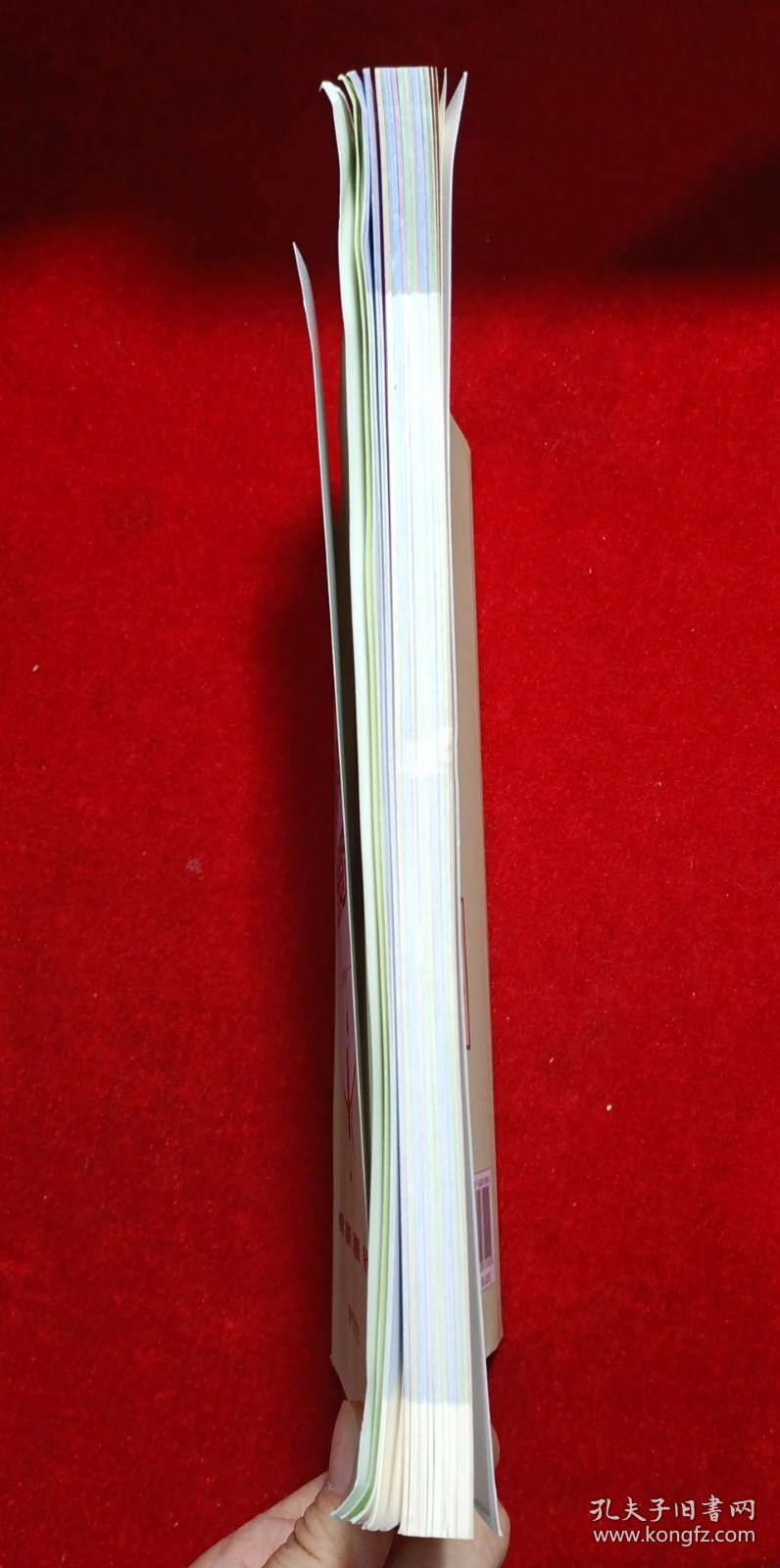 漫画图解——超好记超好用高中英语语法