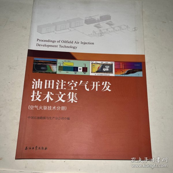 油田注空气开发技术文集(两分册)