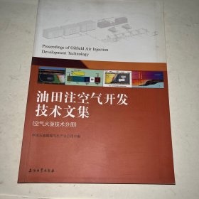 油田注空气开发技术文集(两分册)